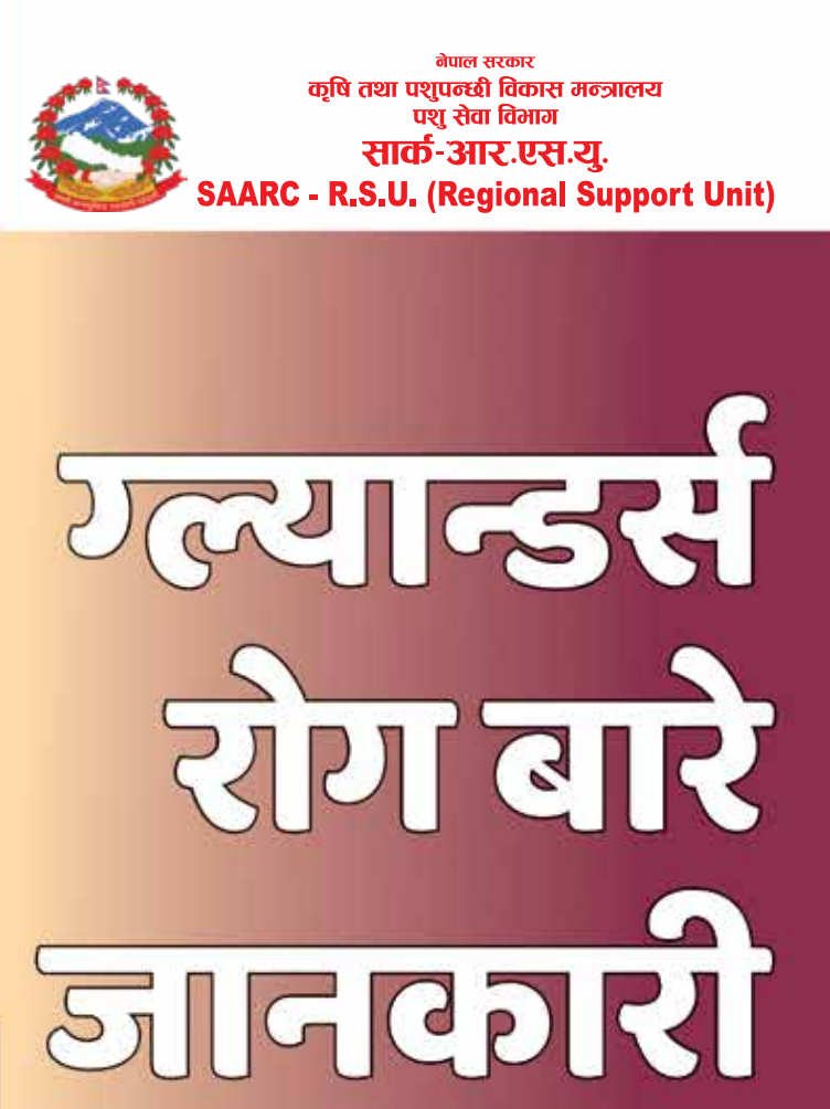 ग्ल्यान्डर्स